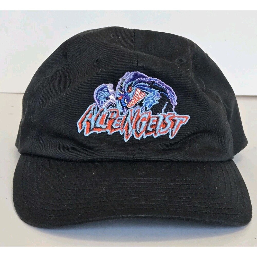 VTG Alpengeist Busch Gardens Hat SnapBack Black Amusement Park Retro